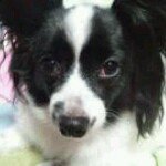 Profile_242782363_75sq_1351256550