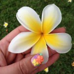 10957092_644105885717532_201261404_a