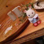 10954833_414926578666801_1904176760_a