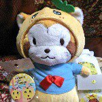 11024341_446622012153952_1647898767_a