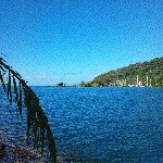 10881755_747195525365480_2075213500_a