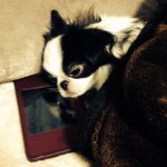 1538522_981552171858385_1721577235_a