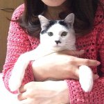 11245882_1129061150452662_1527688739_a