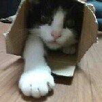 Profile_530920819_75sq_1377851187