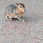 Profile_545941942_75sq_1378649358