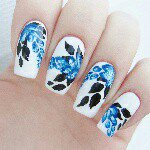 10946412_220566028118534_437003347_a