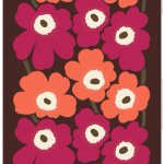 10895349_450746238383800_835553080_a