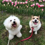 10513704_951809578162954_2100336302_a