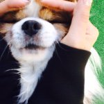 923815_1439279293050711_1061753789_a