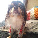 Profile_34604765_75sq_1365513341