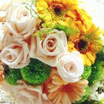 10914350_708946135893055_645542274_a