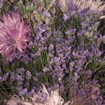 11245882_1434184386884703_2067149811_a