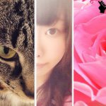 11374544_617718615031972_20106100_a