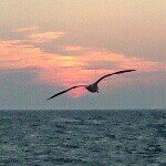 925314_408808055927995_827218641_a