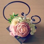 10748012_584822158288745_81030277_a