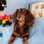 11247952_1427473087571696_566817814_a