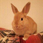 Profile_376361869_75sq_1397102849