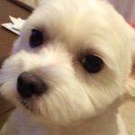 10899024_887883014576598_1426505653_a