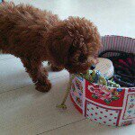 10735493_633961440056817_221485151_a