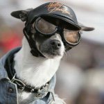 11116843_1378669219126662_1207955174_a