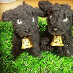 11251188_1582127312070316_2100381603_a