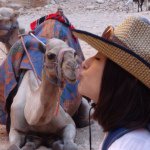 1597374_582192985224204_188801210_a