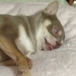 Profile_321741545_75sq_1393997896