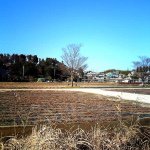 11313768_453595808143167_193408699_a