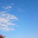 10731475_342553105924154_511290080_a