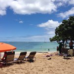 1737806_1545211012416867_2058990243_a