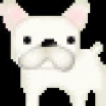 Profile_11740585_75sq_1366449343