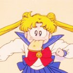 11142155_1410292859291503_1470424462_a