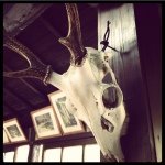 Profile_11655098_75sq_1388422482