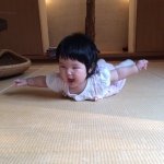 914419_581778211936104_1933066259_a