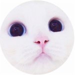 11116696_1672247149664193_1956724133_a