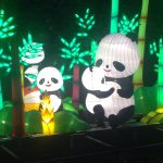 10843903_366389226872960_746369628_a