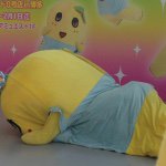 10946562_873204322729668_1236604288_a