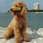 Profile_406985619_75sq_1382289627