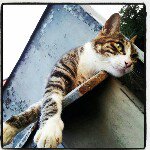 Profile_32282245_75sq_1350145400