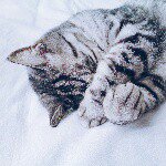 11243546_951644448200573_2066610163_a