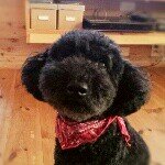 Profile_712138913_75sq_1385378421