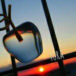 11253250_1442365762725957_105958326_a