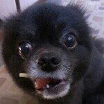 Profile_722672833_75sq_1386468003