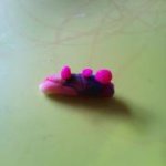 Profile_340111656_75sq_1364730869