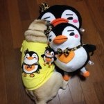 10448998_1518135535076497_1933693660_a