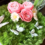 10986071_1487043631534681_989389585_a