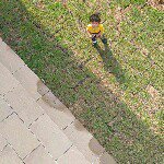 923797_927592047254300_1963136656_a