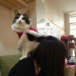 10860121_750424231717771_1713627609_a