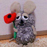 10691928_698128706924078_2144707117_a