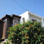 11116729_426770470828238_55707051_a